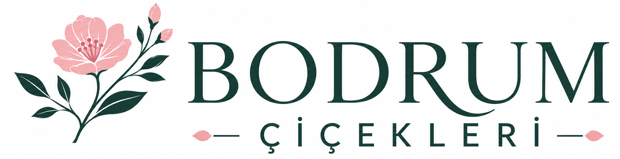Bodrum Çiçekleri logo